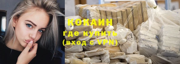 хмурый Магас