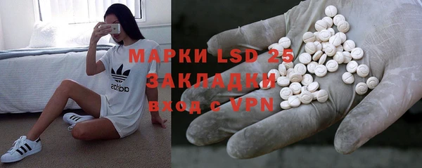 хмурый Магас