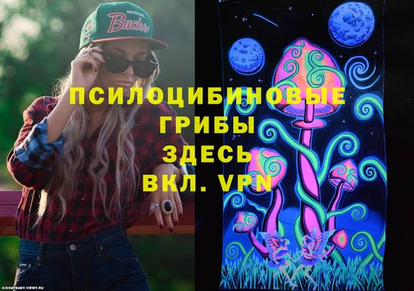 бошки Лиски