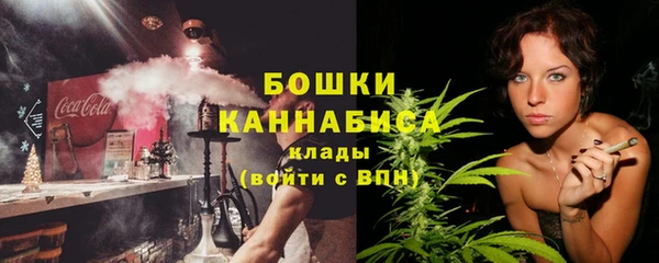 МДПВ Долгопрудный
