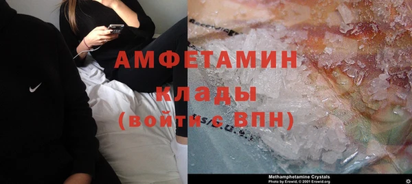 хмурый Магас
