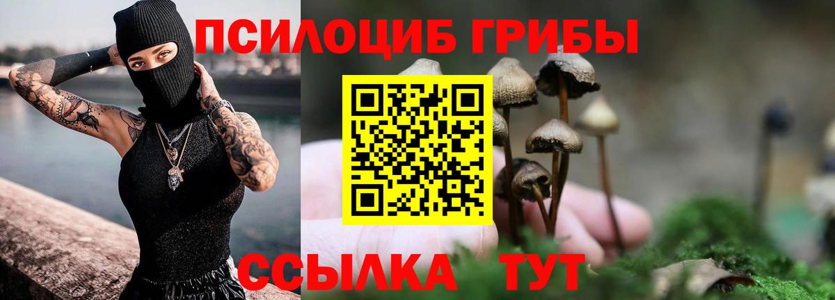 Псилоцибиновые грибы GOLDEN TEACHER Липецк